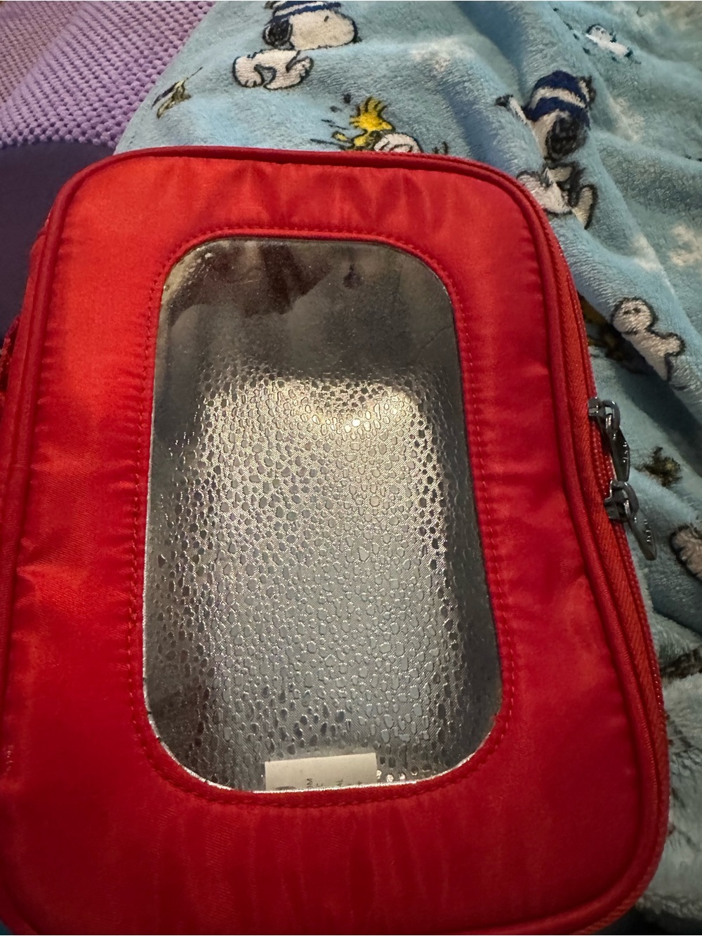 Lug insulated freight box